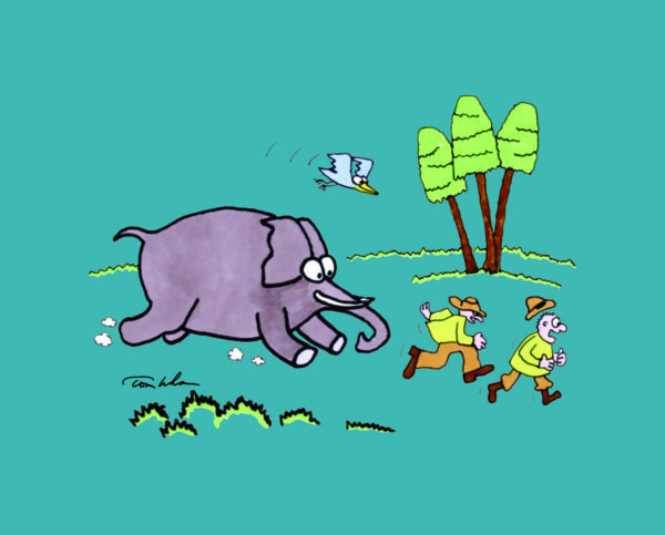 Elefant Chase